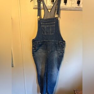 Womens Plus Cropped Overalls